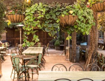 Garden Walkaround 9 8 16 LoRes 11 Min